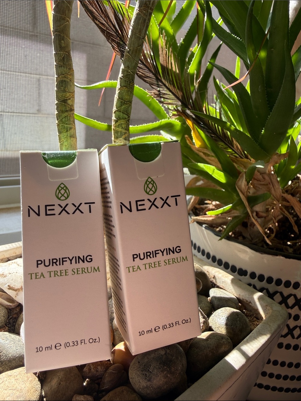 NEXXT Purifying Tea Tree Serum Bundle